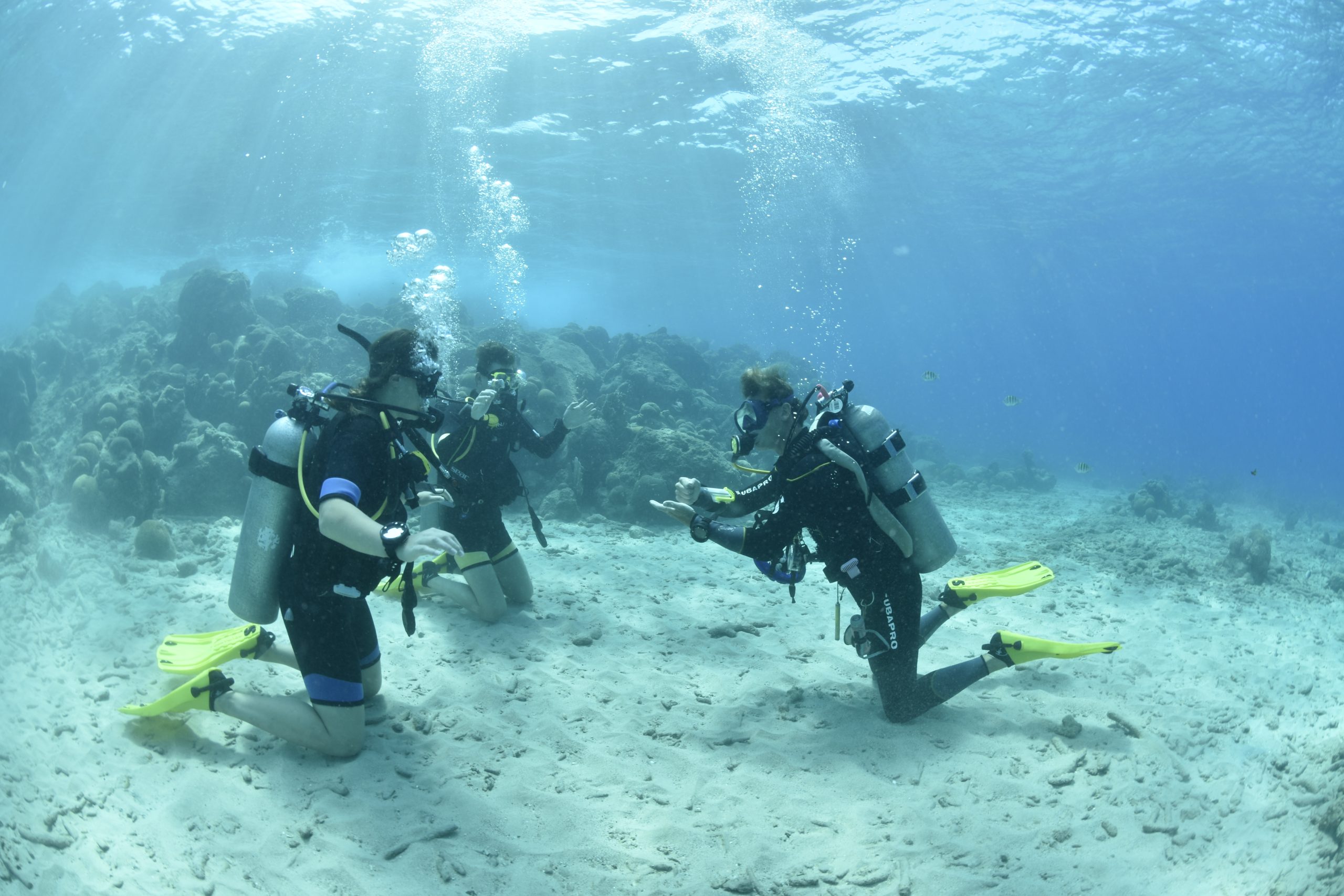 snorkelen sport duiken op Curacao met Wereldstap programma stage en tussenjaar