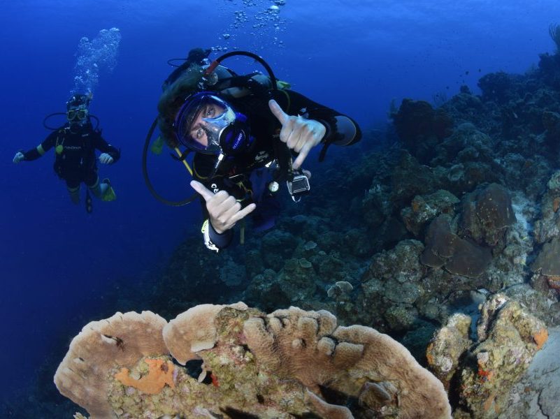 Duiken Tussenjaar Programma en Stagiairs Wereldstap 3