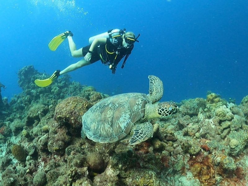 Duiken tijdens Tussenjaar Programma Curacao